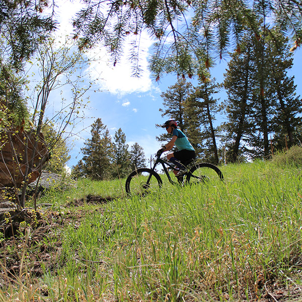 mountain biking on shoshana ranch
