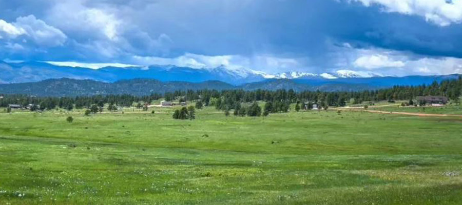 lot 12 on shoshana ranch