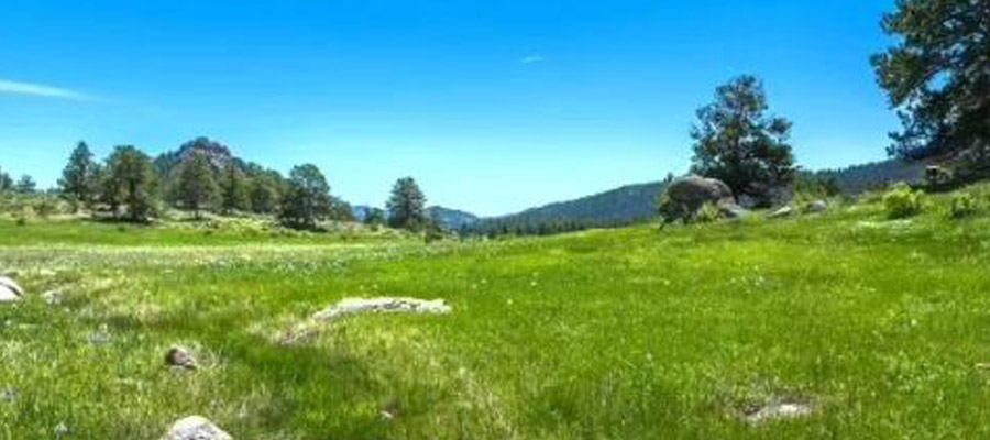 lot 20 on shoshana ranch