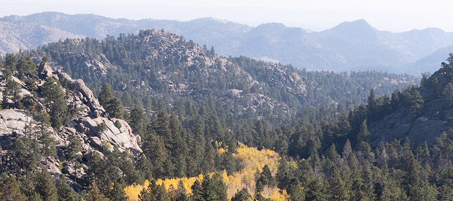 beautiful views from shoshana ranch