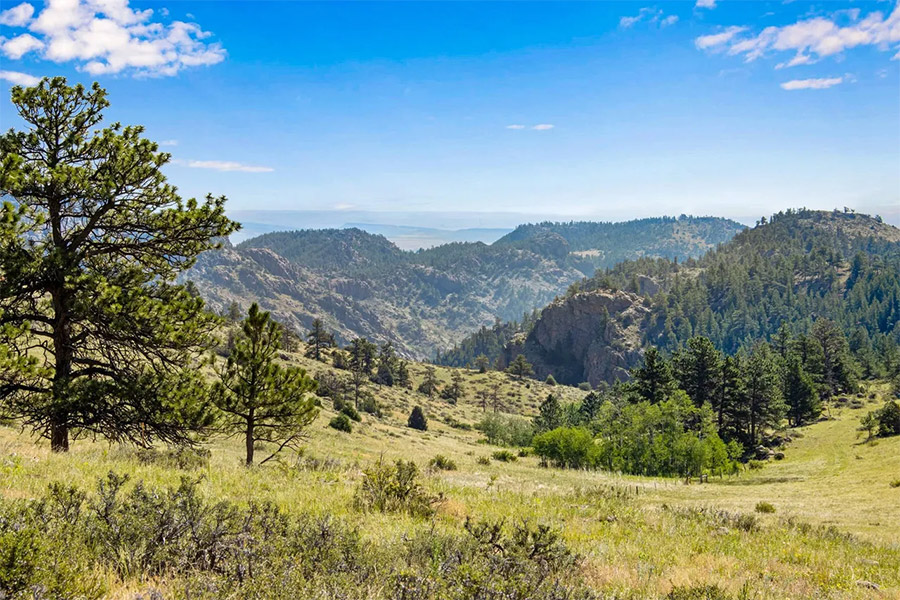 lot on shoshana ranch