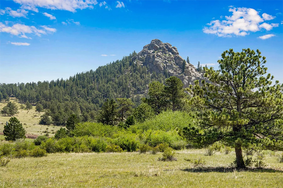 lot on shoshana ranch