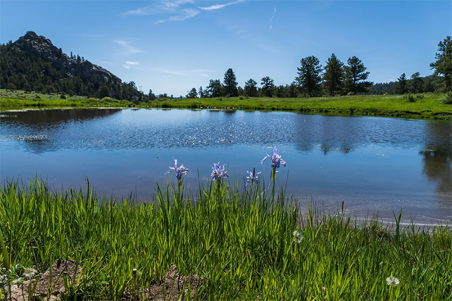 lot on shoshana ranch