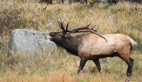 rocky mountain national park