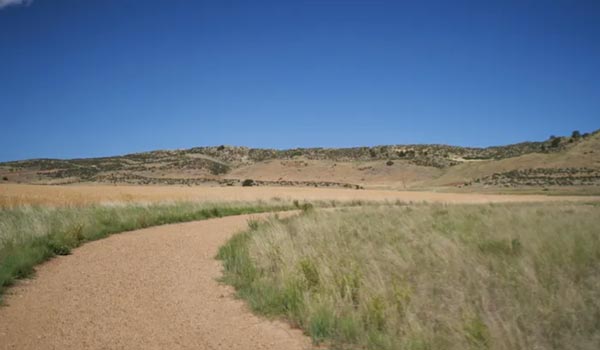 Coyote Ridge Natural Area