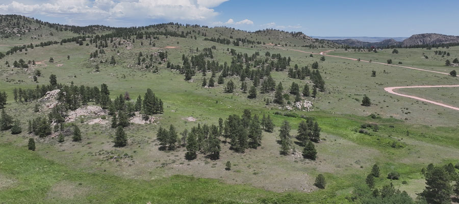 Shoshana Ranch Lot 20