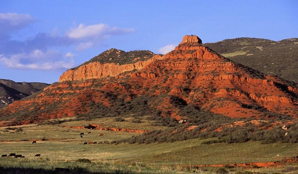 Red Mountain Open Space