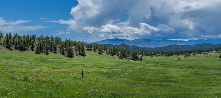 Shoshana Ranch Lot 11