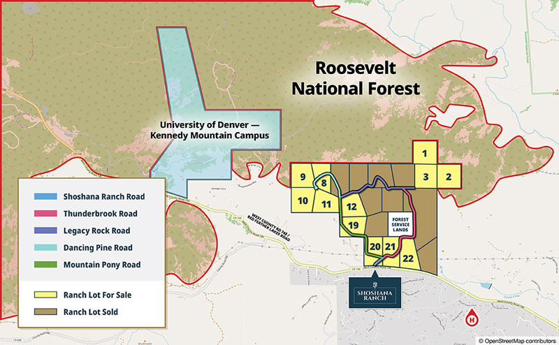 Roosevelt National Forest
