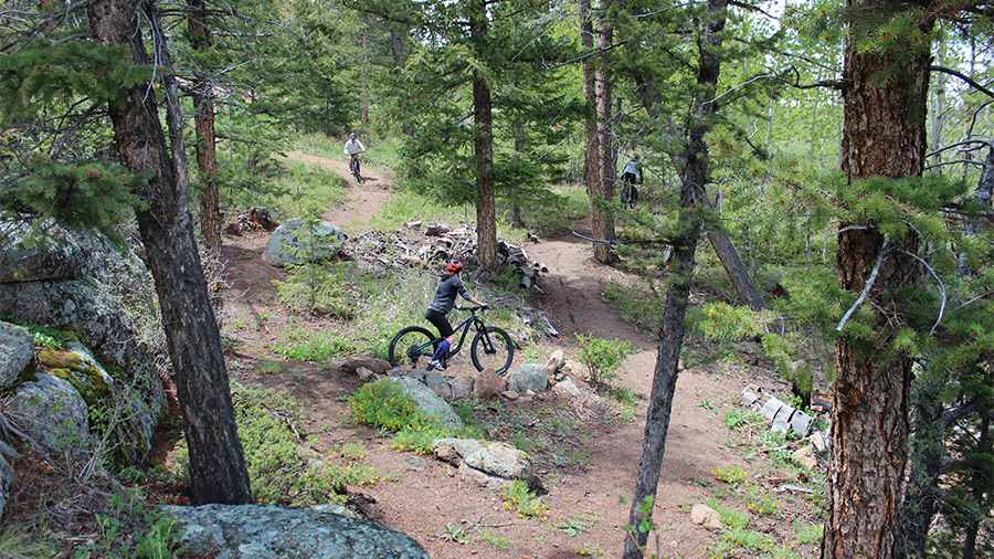 People mountain Biking on a Single-Track Trail Through a Forest near Shoshana Ranch