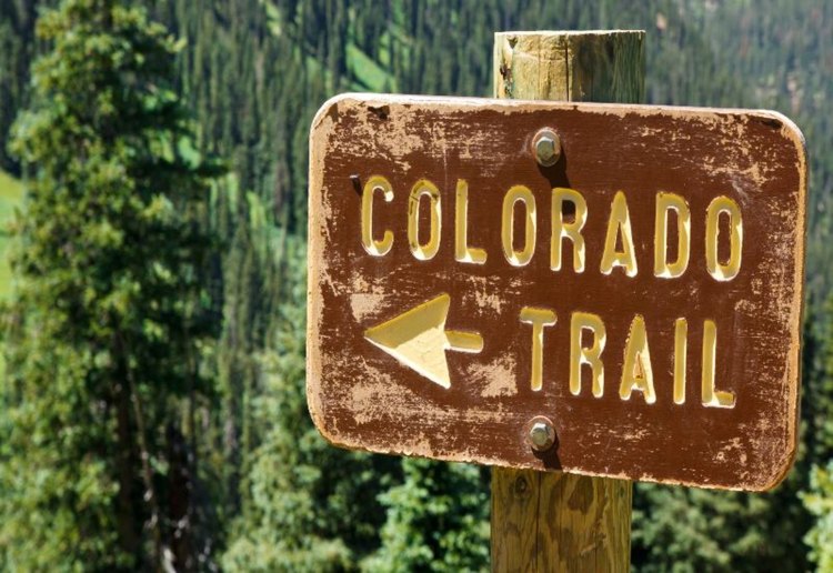 Wooden Colorado Trail sign with arrow in forested area