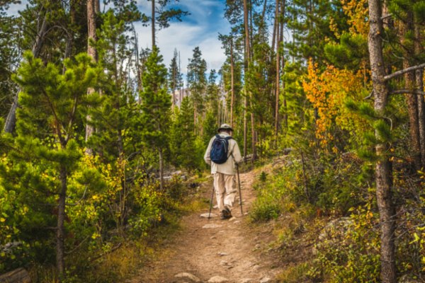 man hiking colorado forest